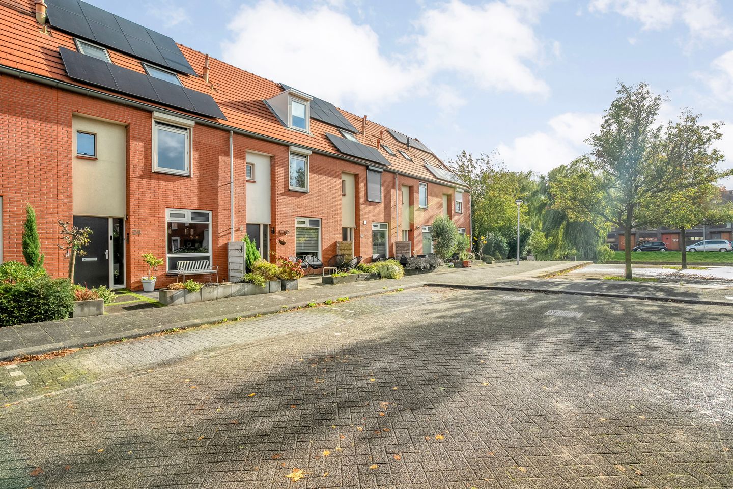 Photo 5 of Haakmos 24