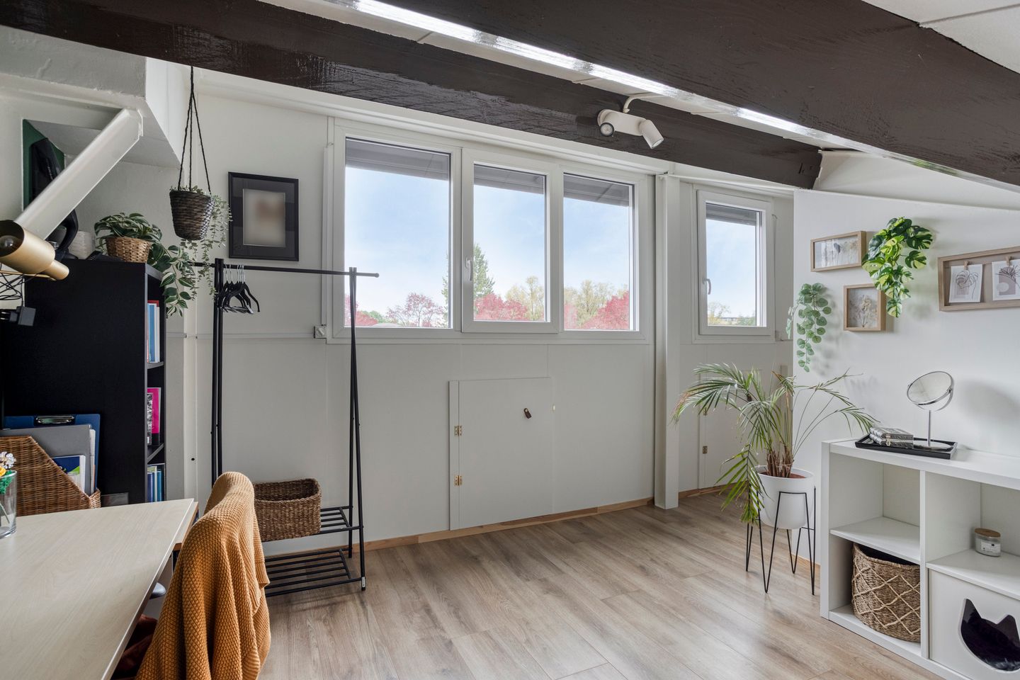 Photo 34 of Erasmusdomein 17