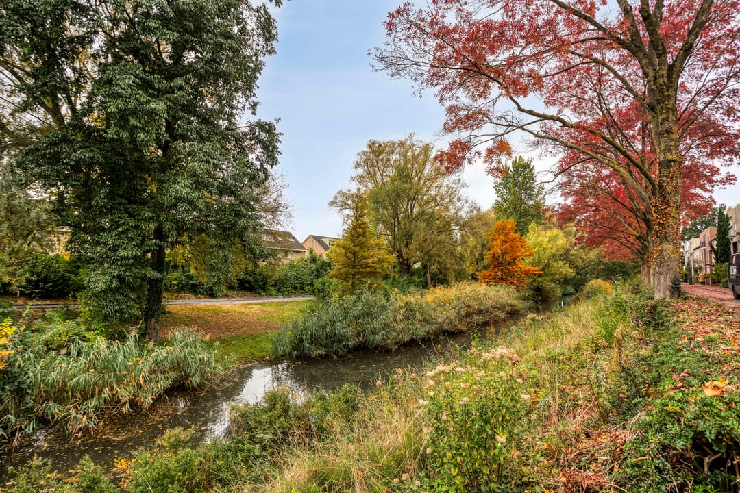 Photo 43 of Erasmusdomein 17