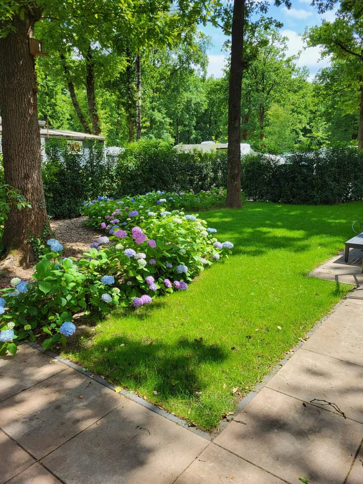 Photo 5 of Leersumsestraatweg 23