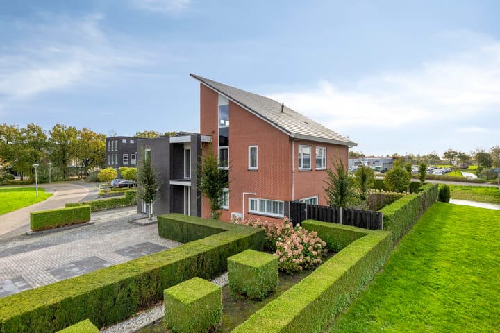 Foto 12 van Carneool 2