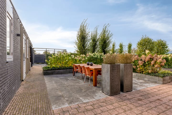 Foto 82 van Carneool 2