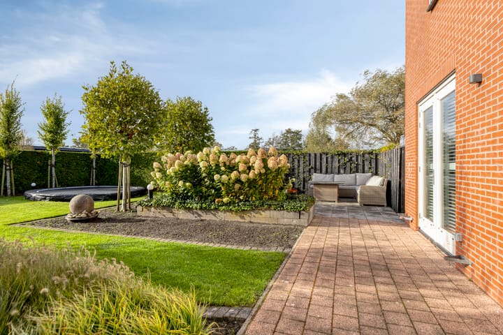 Foto 83 van Carneool 2