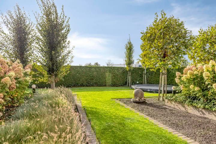 Foto 84 van Carneool 2