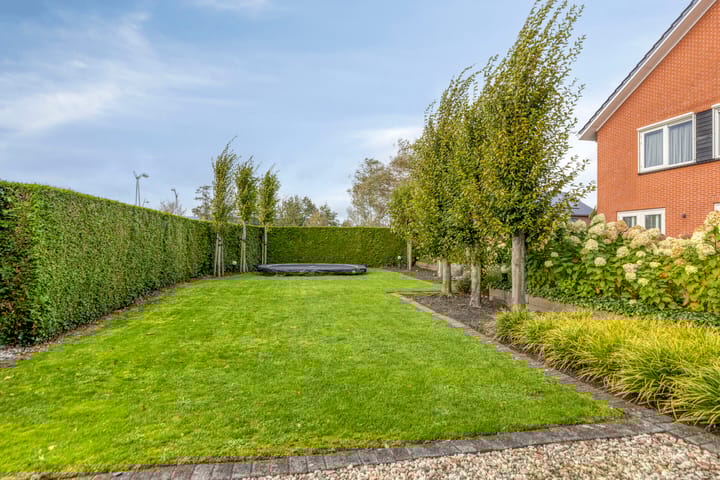 Foto 86 van Carneool 2