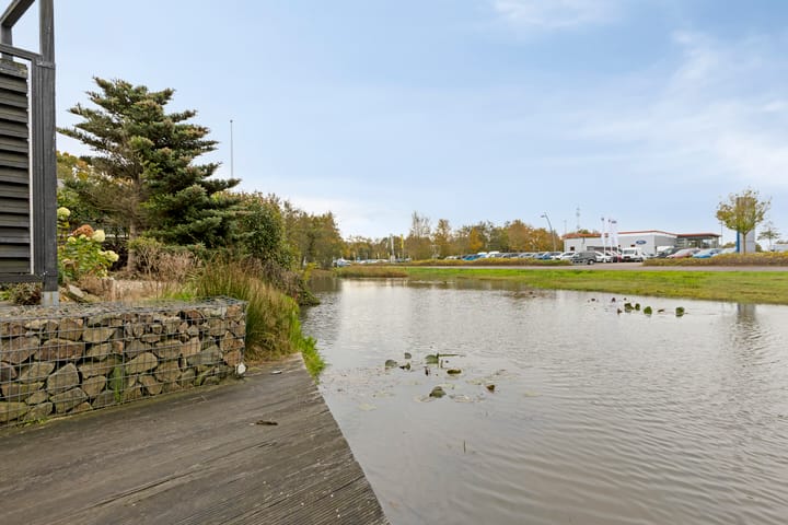 Foto 94 van Carneool 2