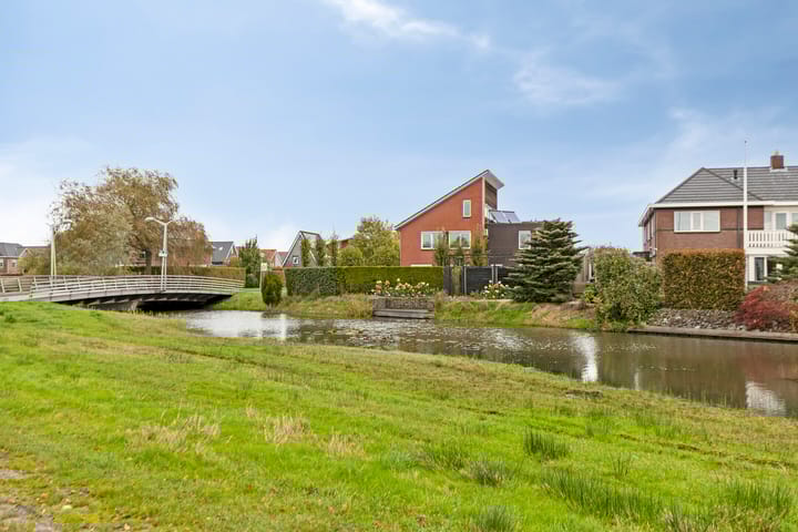 Foto 100 van Carneool 2