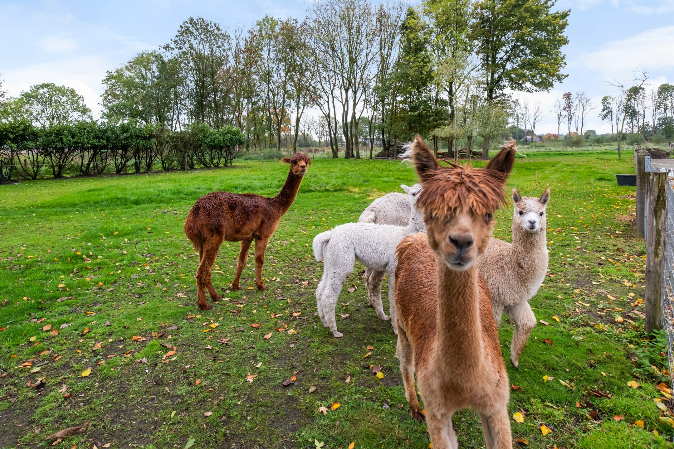 Foto 63 van Lange Heideweg 19