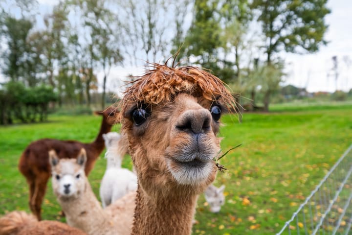 Foto 64 van Lange Heideweg 19