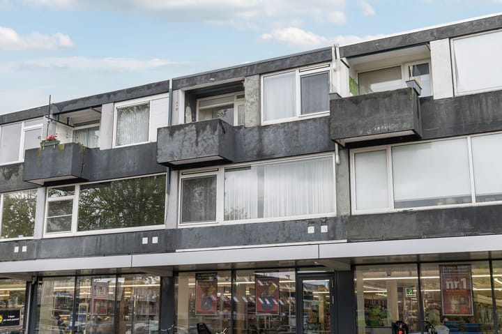 Foto 2 van Karel Doormanlaan 89