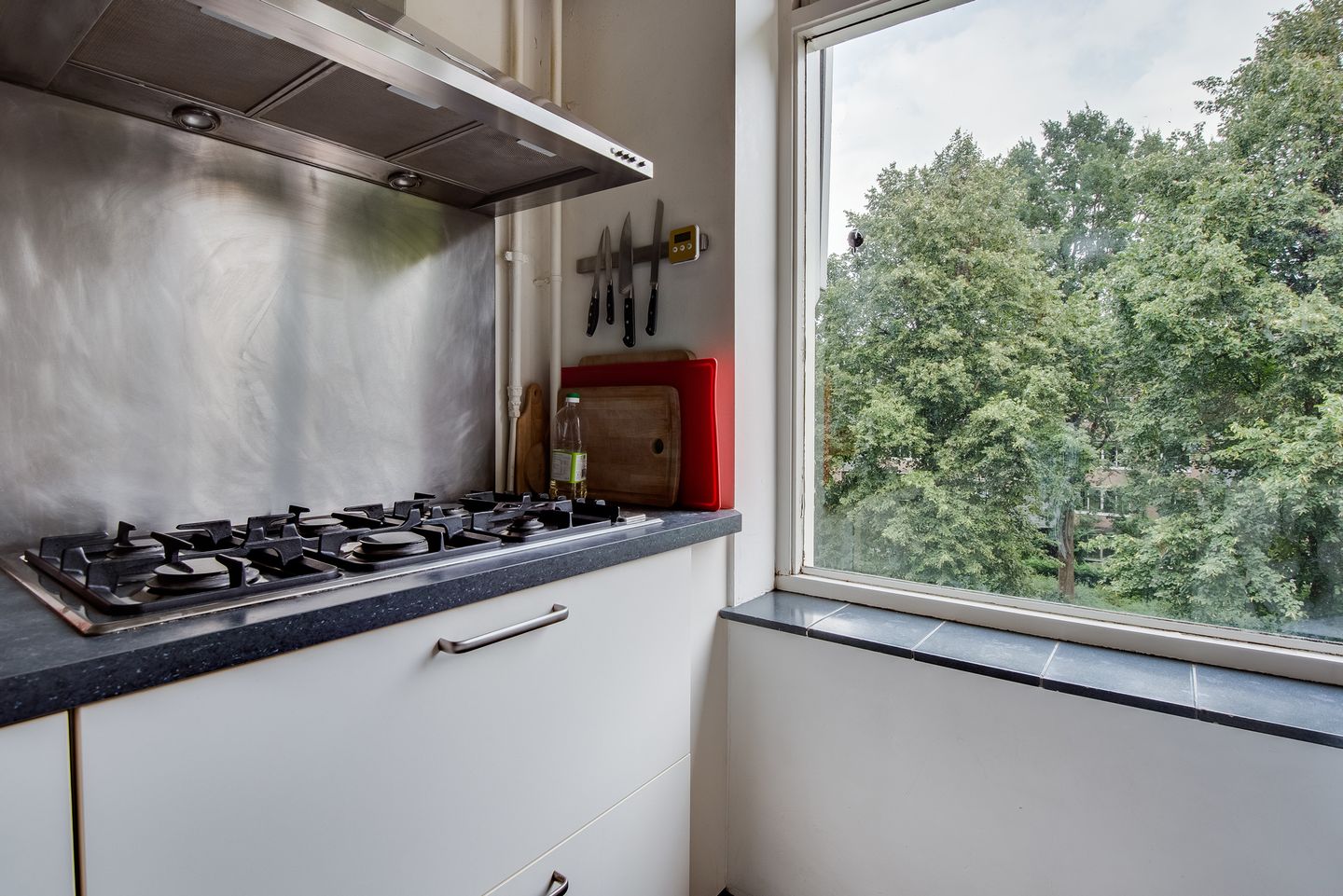 Photo 10 of Van Leijenberghlaan 403-3