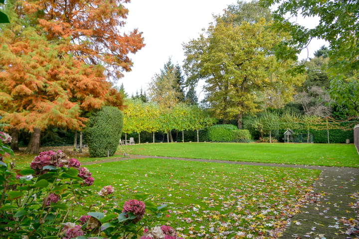 Photo 2 of Dillenburglaan ong