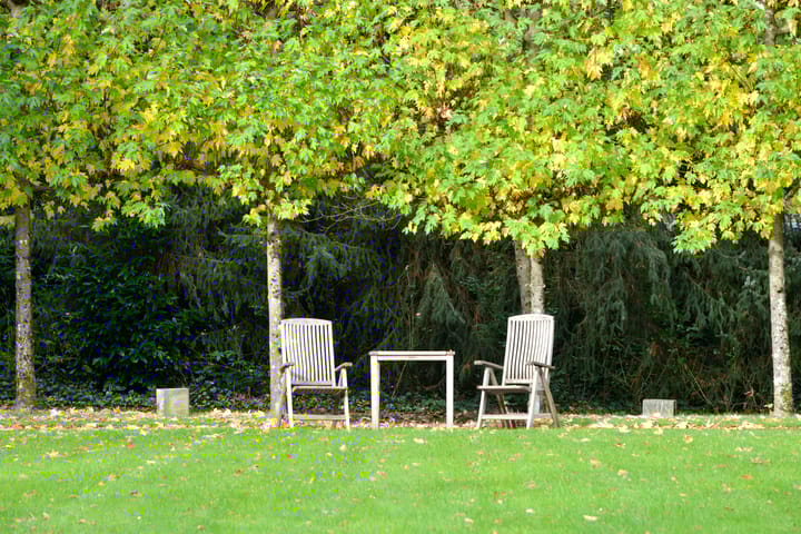 Photo 6 of Dillenburglaan ong