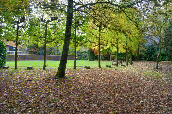 Photo 8 of Dillenburglaan ong