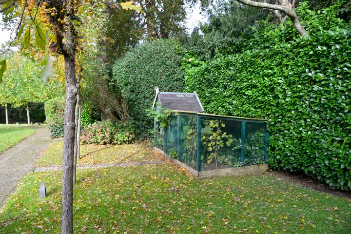 Photo 7 of Dillenburglaan ong