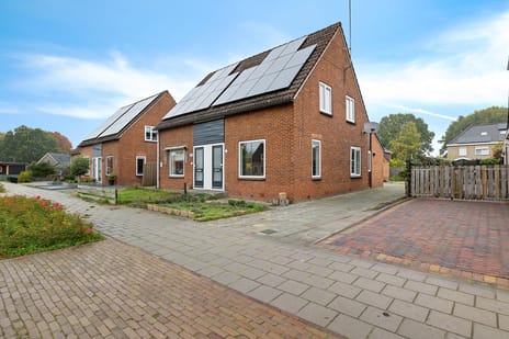 undefined main image