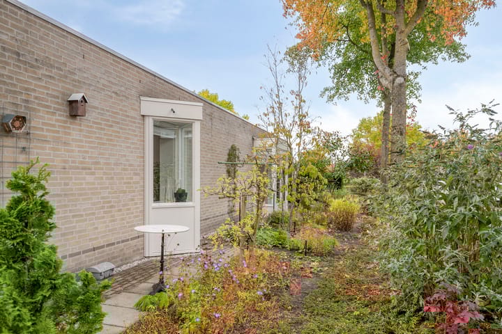 Foto 8 van de Legge 1