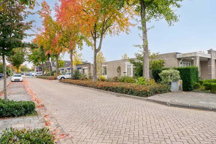 Foto 6 van de Legge 1