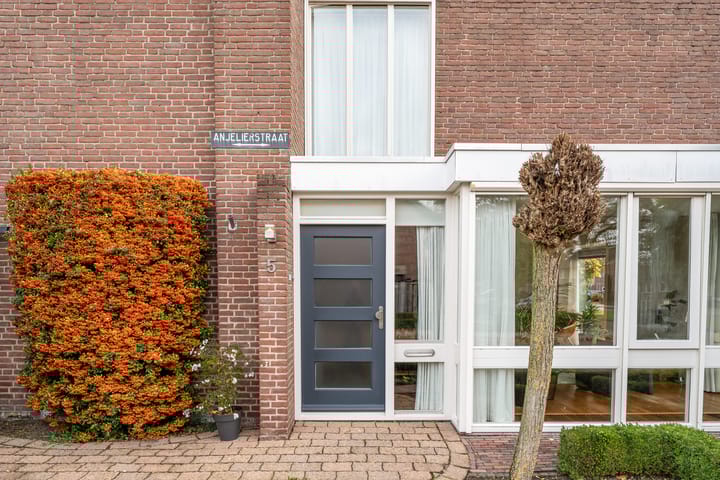 Foto 12 van Anjelierstraat 5