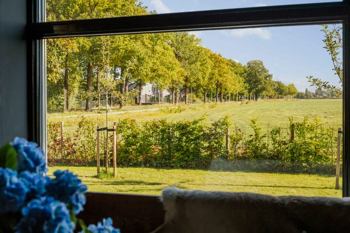 Photo 28 of Spanjaardsdijk 50-A