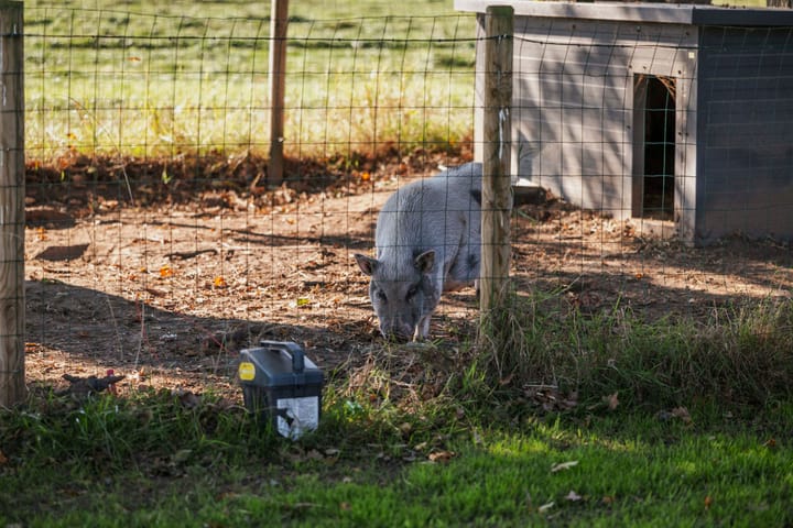 Photo 65 of Spanjaardsdijk 50-A