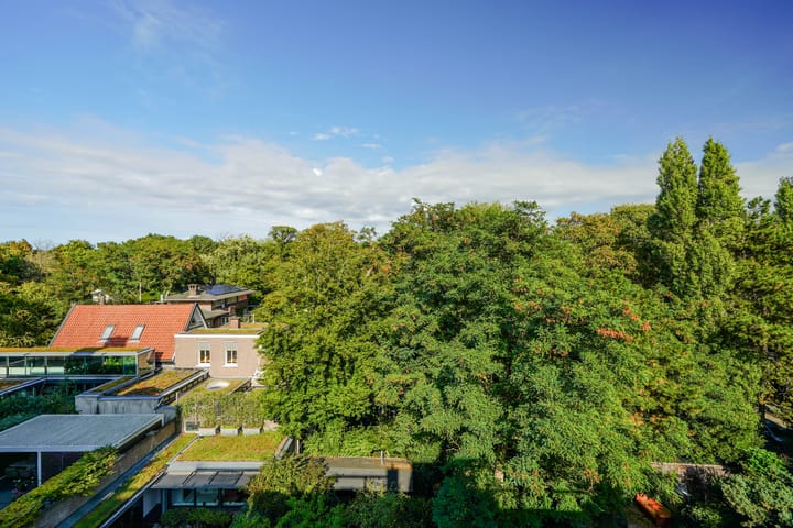 Photo 78 of Bankastraat 145