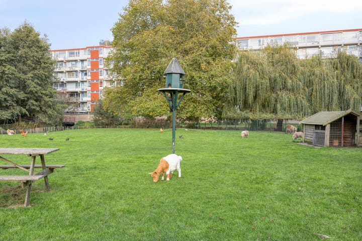 Foto 56 van Duke Ellingtonstraat 10