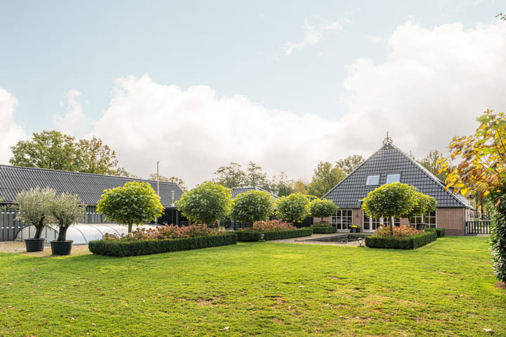 Foto 62 van Tronde 13