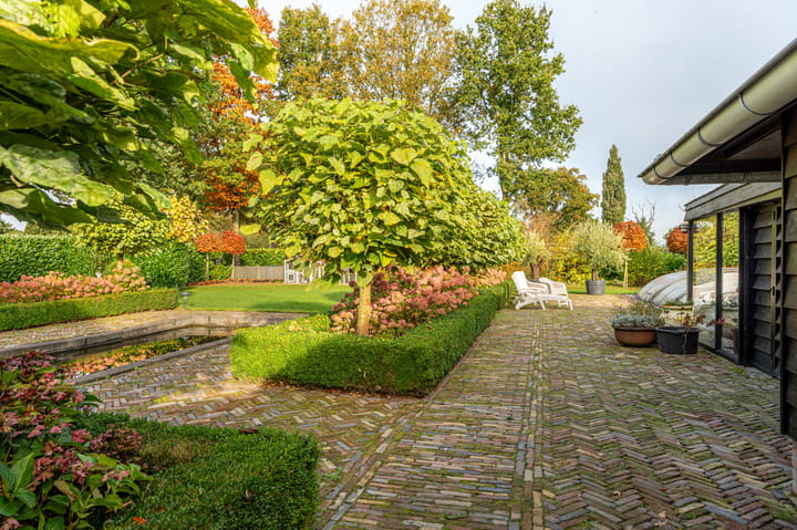 Foto 54 van Tronde 13