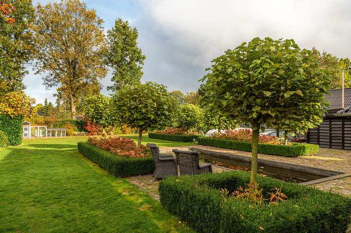 Foto 55 van Tronde 13