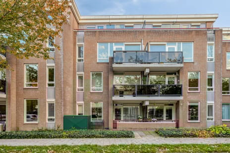 Biggenstraat thumbnail