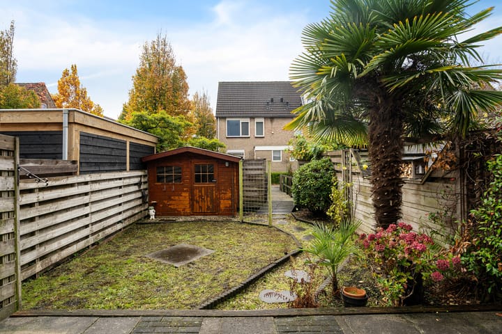 Foto 24 van Zijde 144