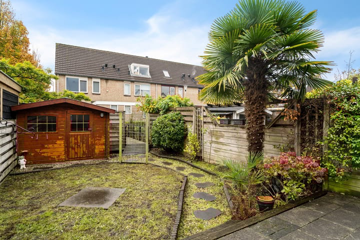 Foto 3 van Zijde 144