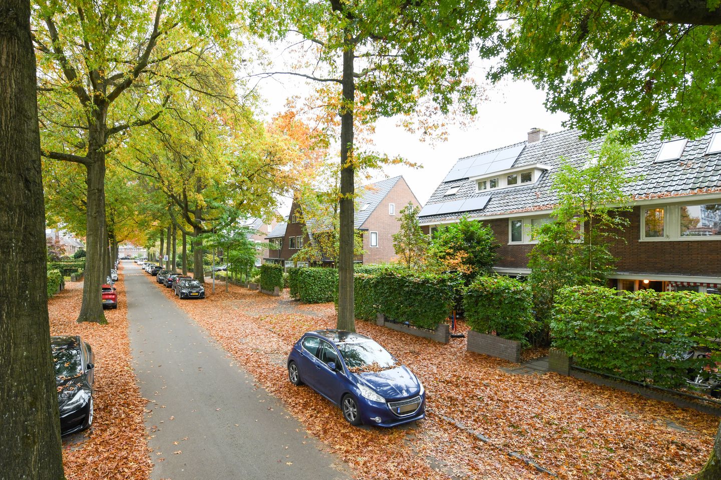 Photo 35 of Laan van Cattenbroeck 54