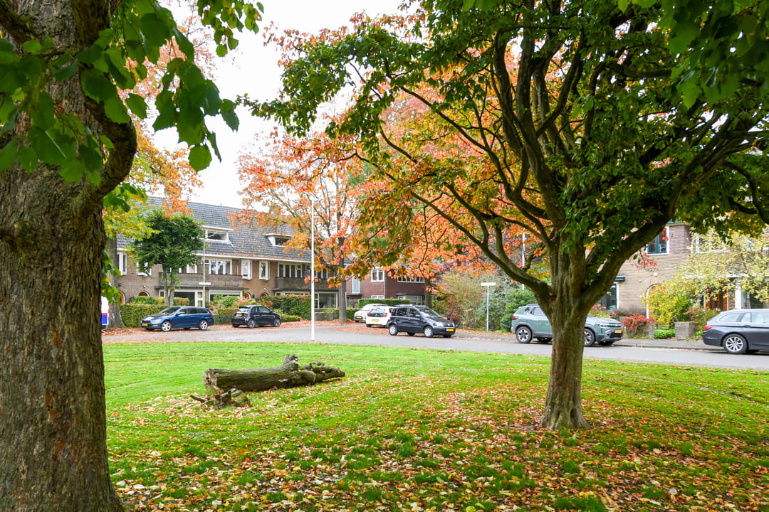 Photo 37 of Laan van Cattenbroeck 54