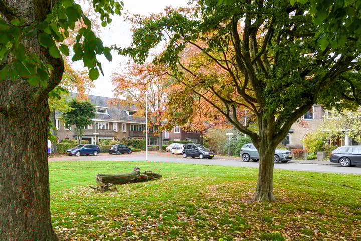 Photo 37 of Laan van Cattenbroeck 54