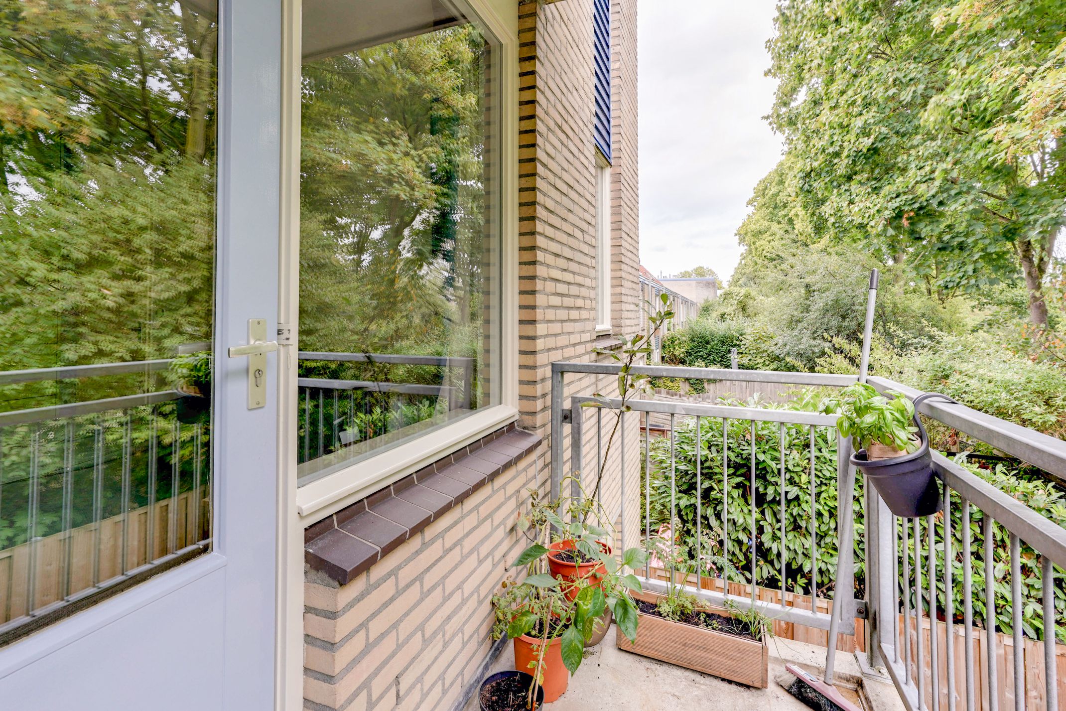 Foto 15 van Jungfrau 136