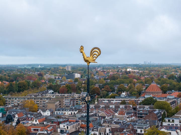 Foto 38 van Brinklaan 115-D2