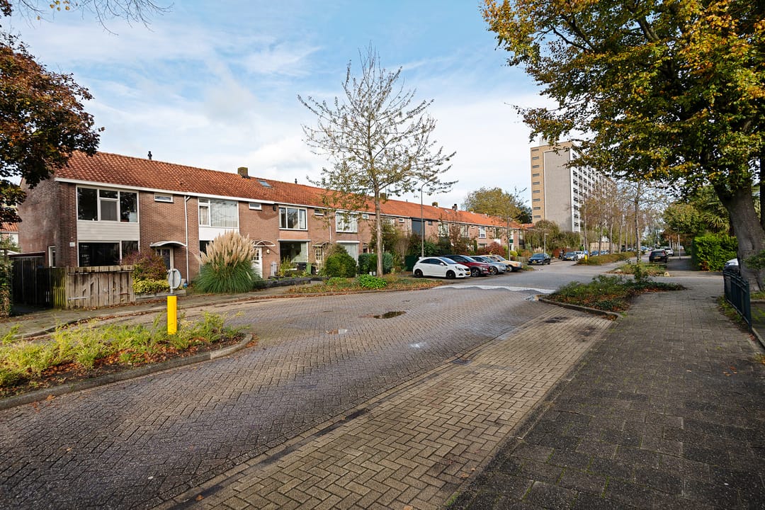 Photo 32 of Anne Franklaan 501