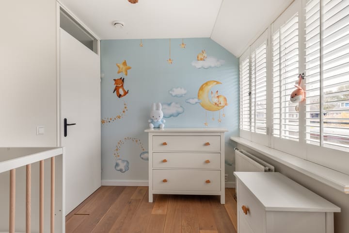 Foto 25 van Biesboschstraat 58