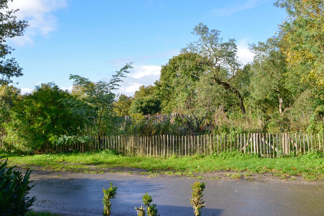 Foto 26 van Brink 25