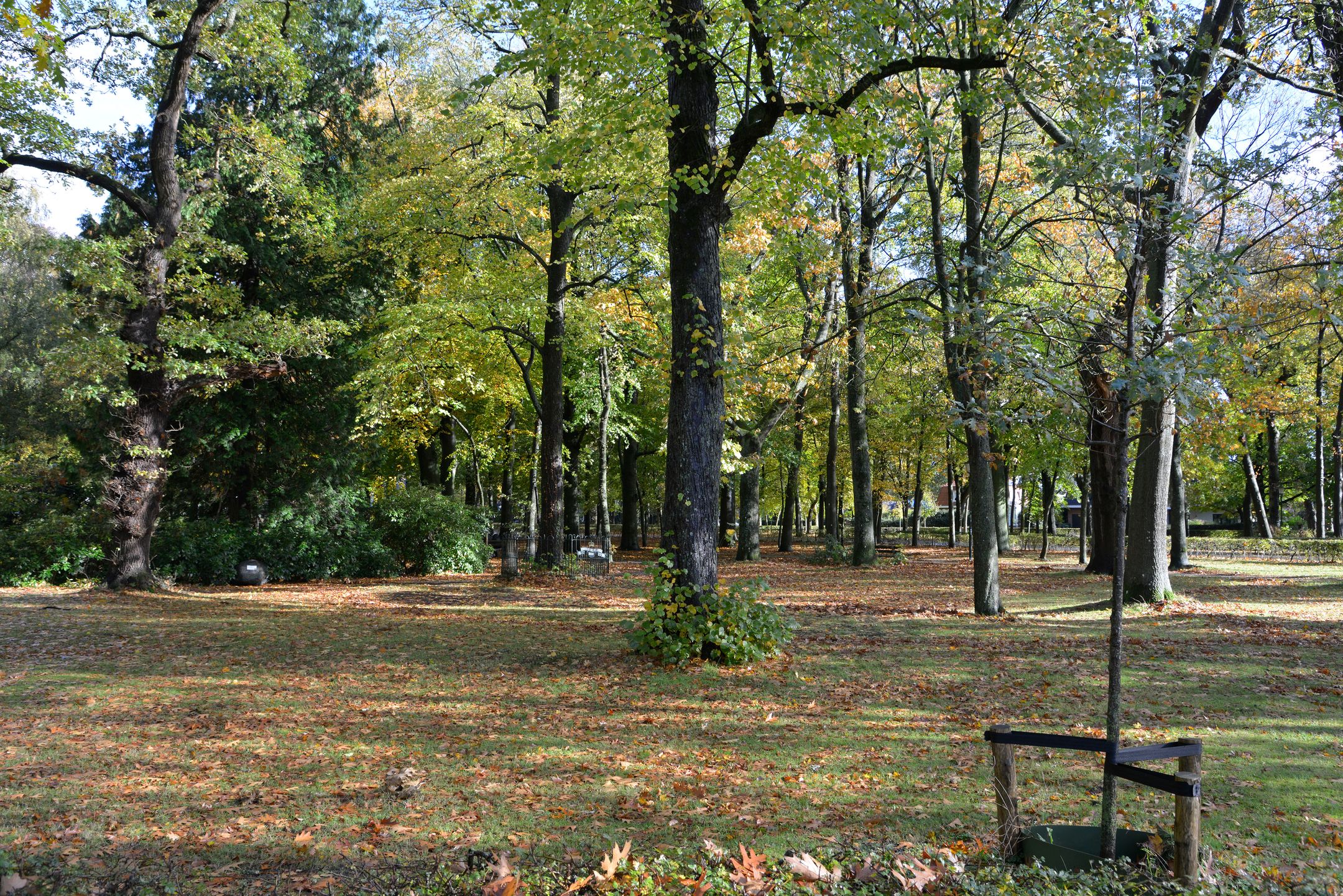 Foto 27 van Brink 25