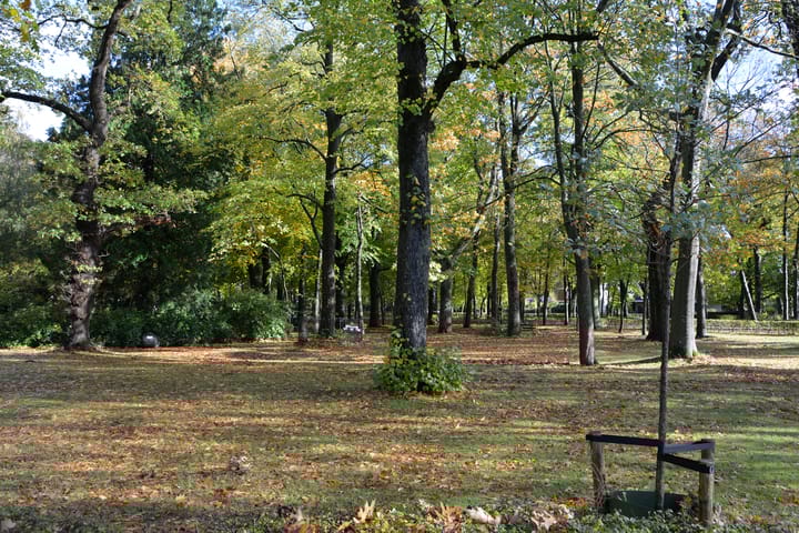 Foto 27 van Brink 25