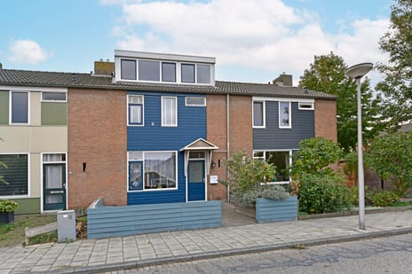 undefined main image