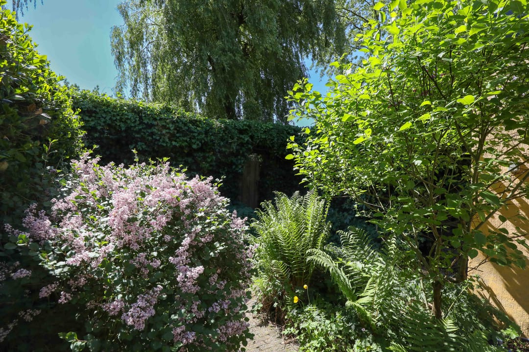 Foto 37 van Kruiskruidlaan 58