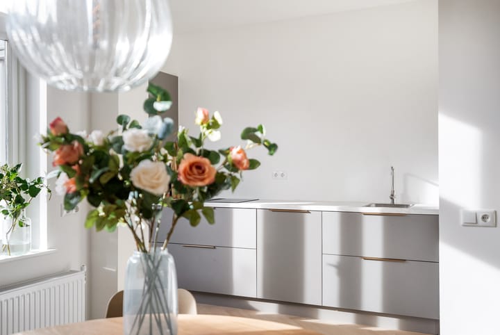 Foto 11 van Ibisstraat 1-B