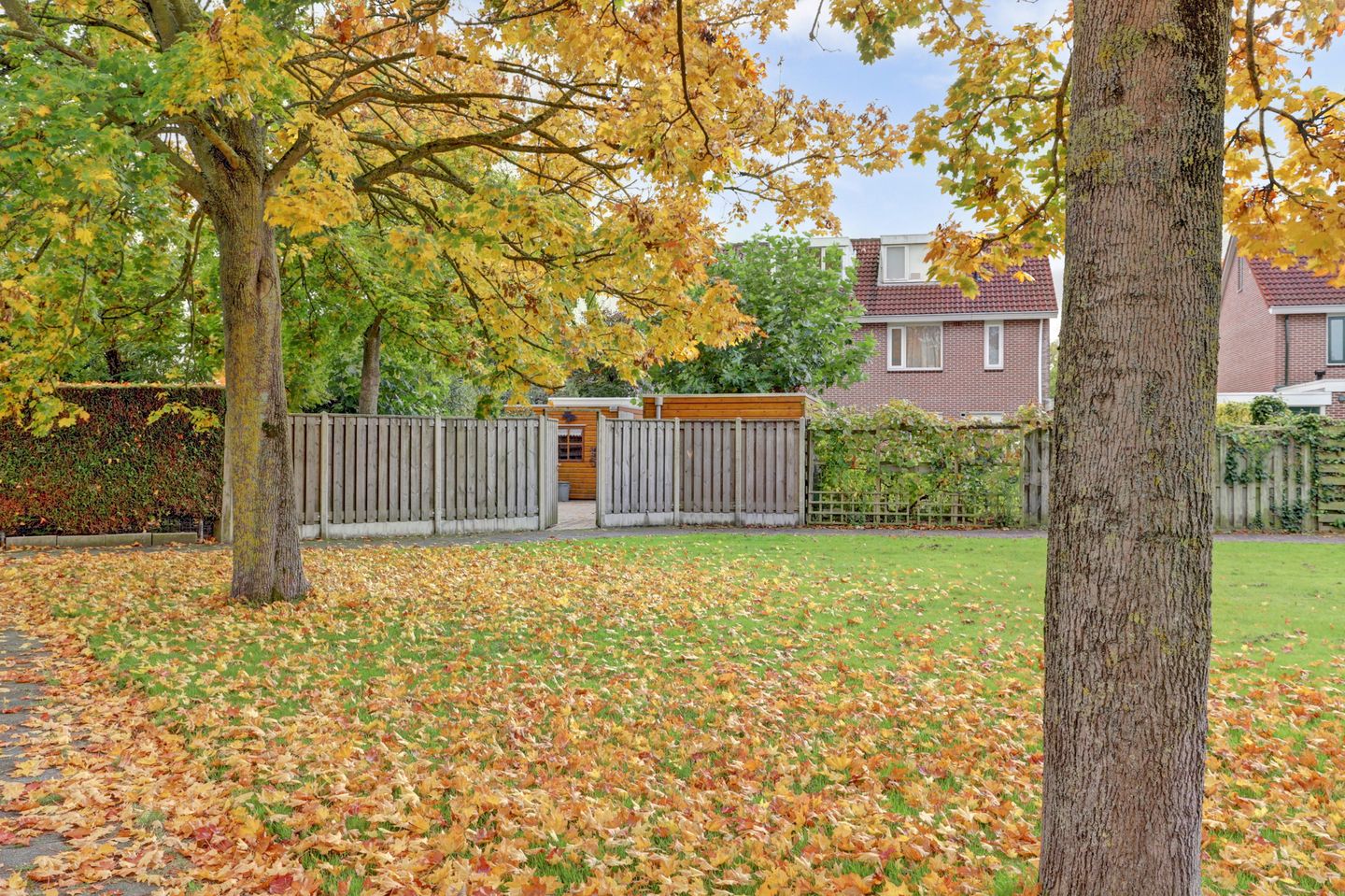 Foto 49 van Manegelaan 2