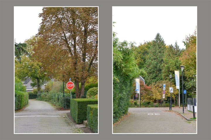 Photo 6 of Oude Raadhuisstraat 2