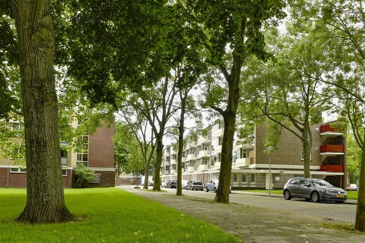 Foto 10 van Dikninge 99