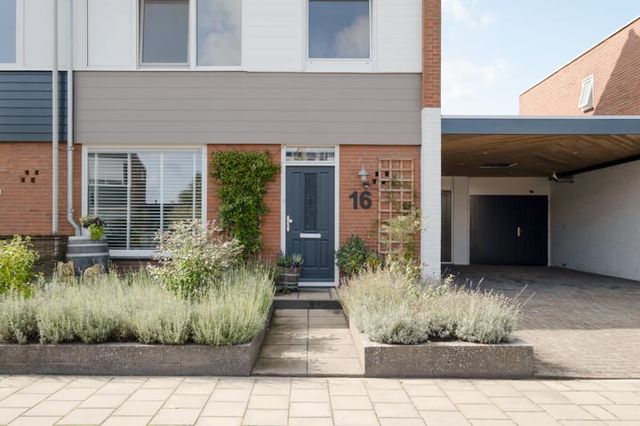 Foto 5 van Möllenbergstraat 16